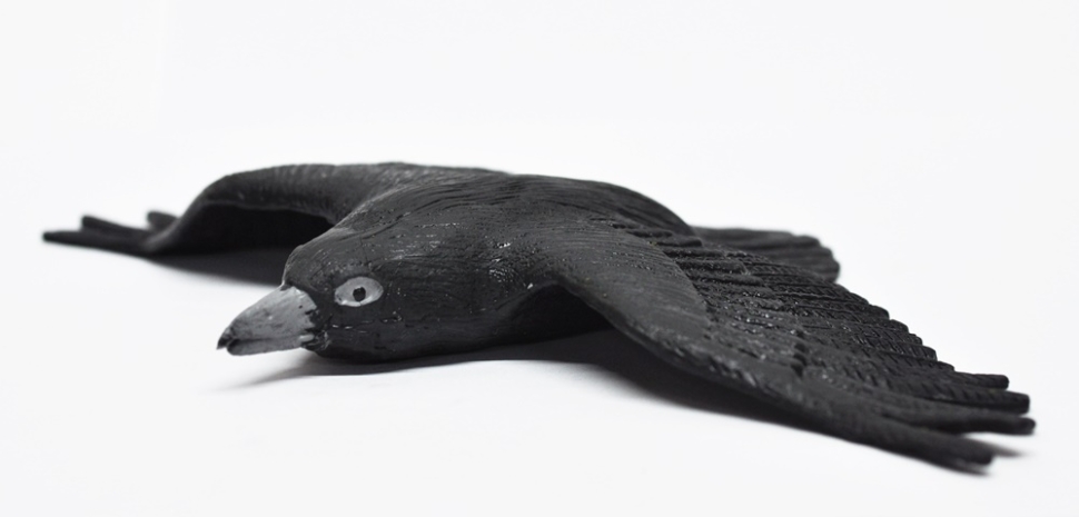 Ворон - Большие птицы, Epic Animals