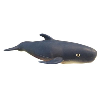 Чёрный дельфин