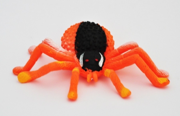 Оранжевая тарантула, Solomon Spider - Big Animal World
