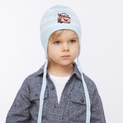 Шапка для мальчика Браш