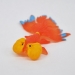 Пучеглазая золотая рыбка (меняет цвет в тёплой воде)