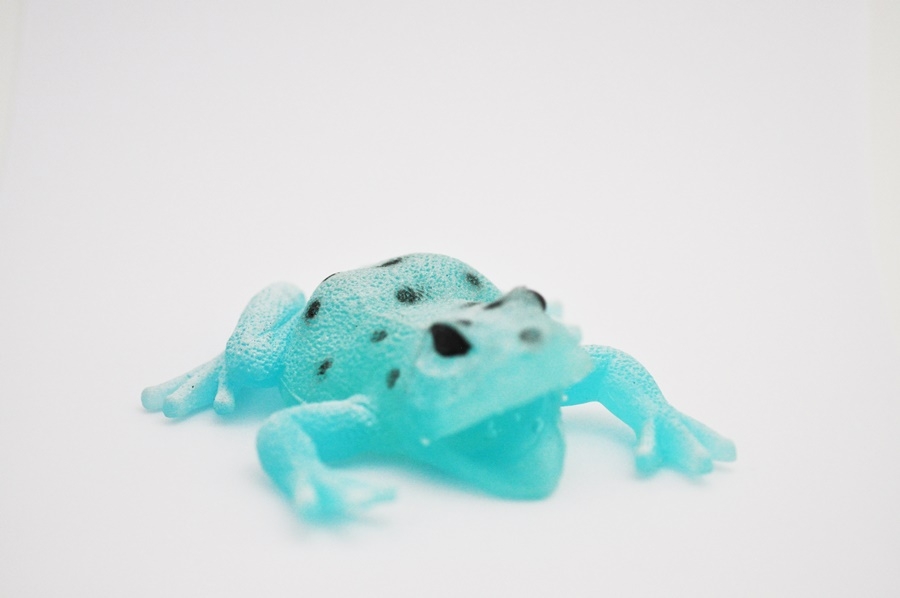 Пятнистый древолаз (светится в темноте) - Animal World