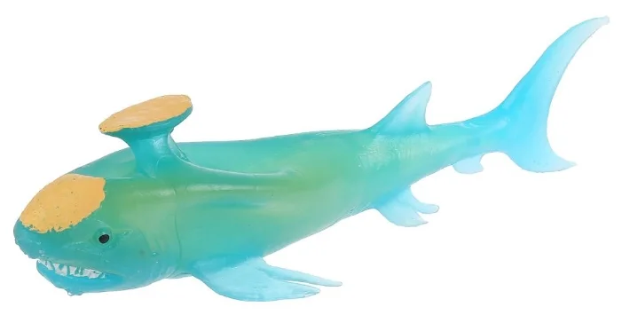 Рыба Стетакант - Animal World