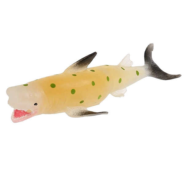 Рыба Кархародон мегалодон - Animal World