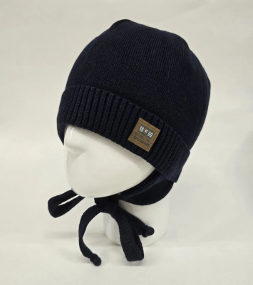 Шапка для мальчика Рион