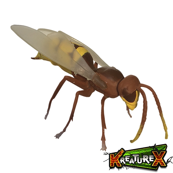 Шершень - Насекомые vs Паукообразные