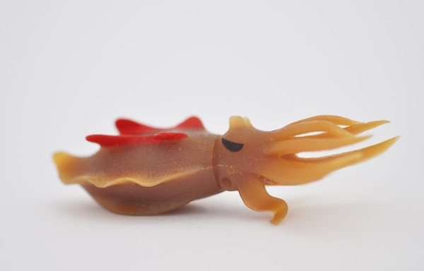 Сверкающая каракатица,(меняет цвет в зависимости от температуры)        - Медузы & КО