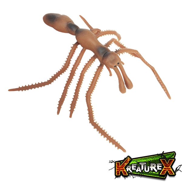 Паук-муравей - Насекомые vs Паукообразные