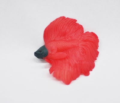 Морской петушок красный (меняет цвет в тёплой воде) 