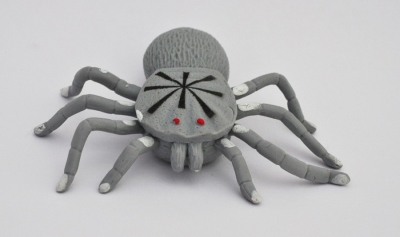 Паук-Крестовик, Ashein Spider