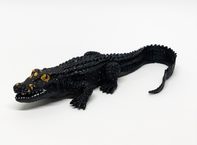 Гладколобый кайман 