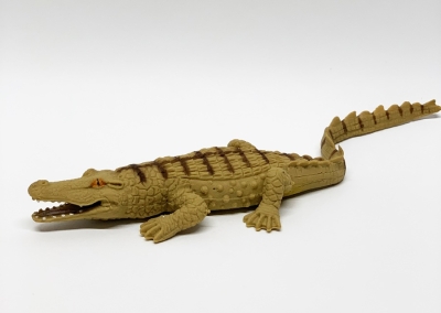 Центральноамериканский крокодил