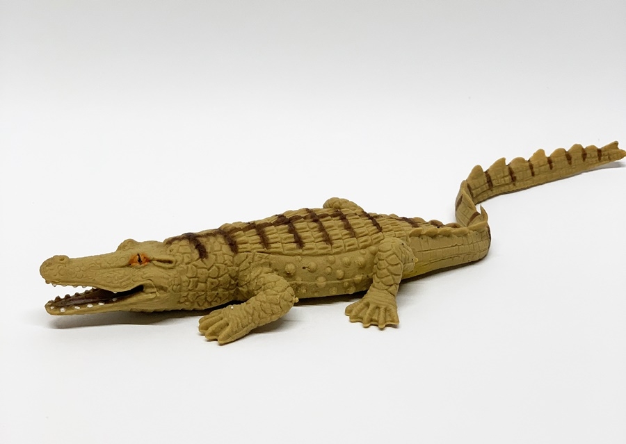 Центральноамериканский крокодил - Крокодилы & Ко Макси Новая версия