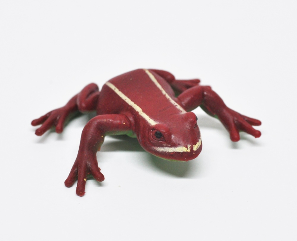 Франтоватый древолаз (меняет цвет в теплой воде) - Волшебные лягушки, Big Animal World