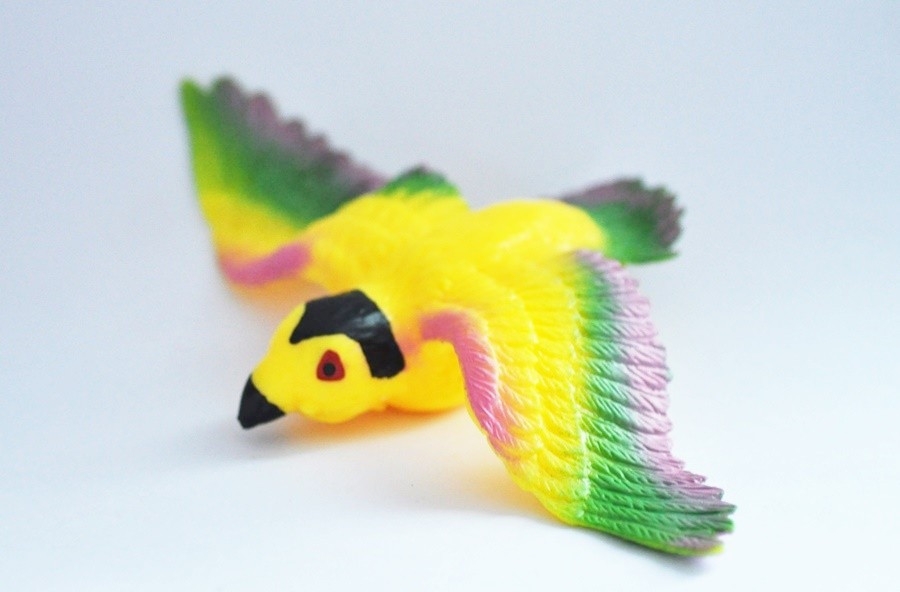 Аратинги - Дикие орлы и птицы, Big Animal World