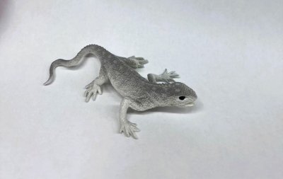 Пустынная игуана (меняет цвет в зависимости от температуры)  