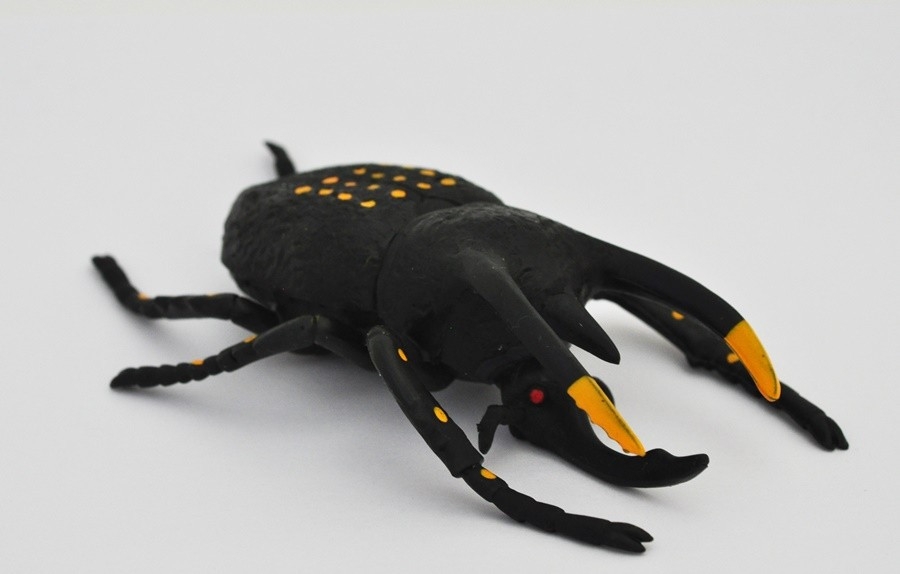 Жук Носорог, Insects - Big Animal World