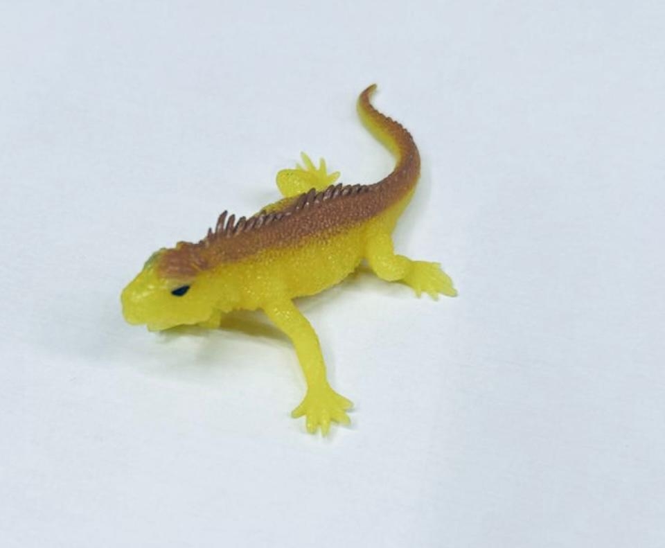 Морская игуана (меняет цвет в зависимости от температуры)    - Игуаны & КО Макси