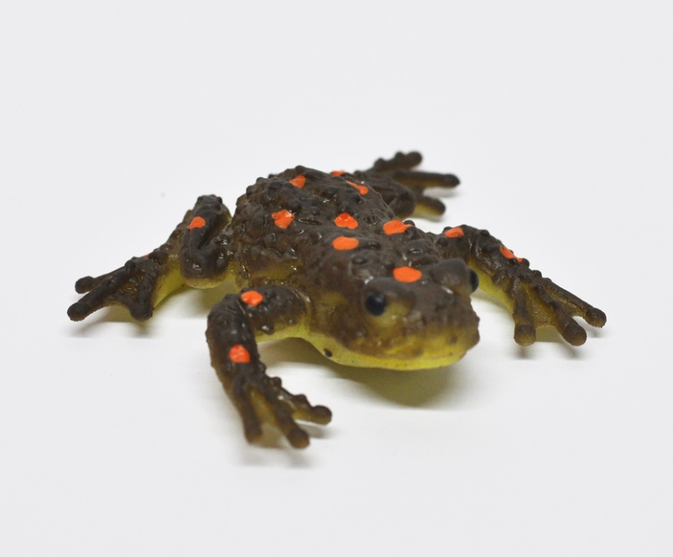 Жаба-Ага (меняет цвет в теплой воде)    - Волшебные лягушки, Big Animal World