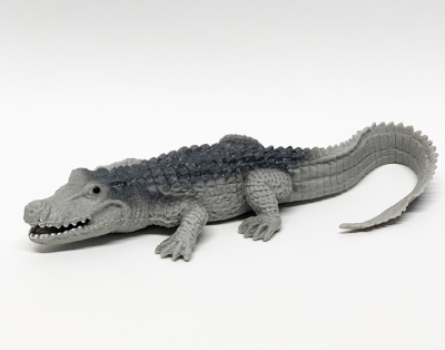 Тупорылый крокодил 