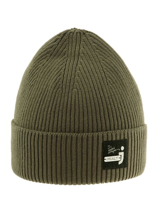 Шапка для мальчика Джеффри, Миалт серый/хаки, весна-осень - Шапки весна-осень