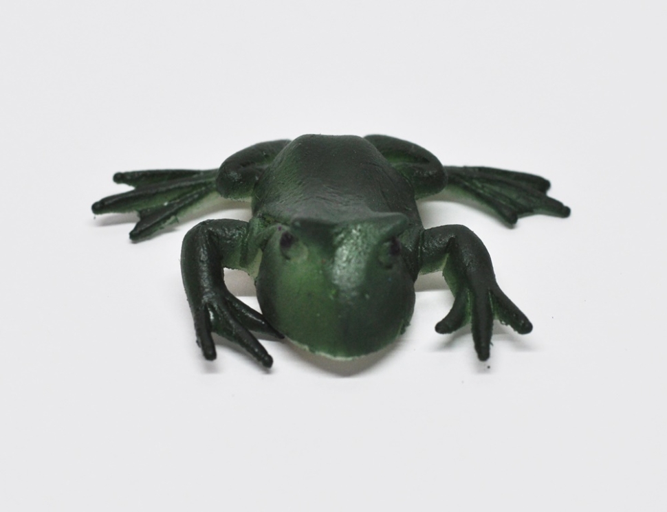 Зеленая рогатка (меняет цвет в теплой воде)     - Волшебные лягушки, Big Animal World