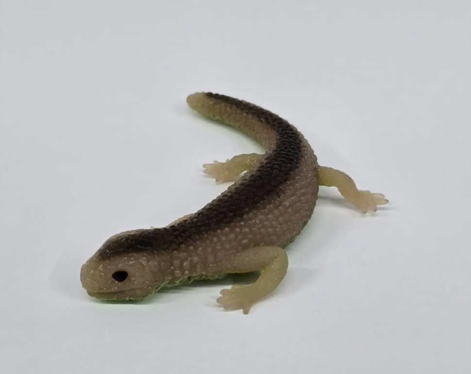 Сцинк морщинистый (меняет цвет в зависимости от температуры)    - Игуаны & КО Макси