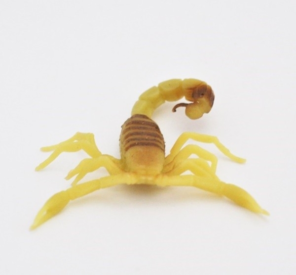Желтый скорпион, (светится в темноте) - Скорпионы & Ко Макси