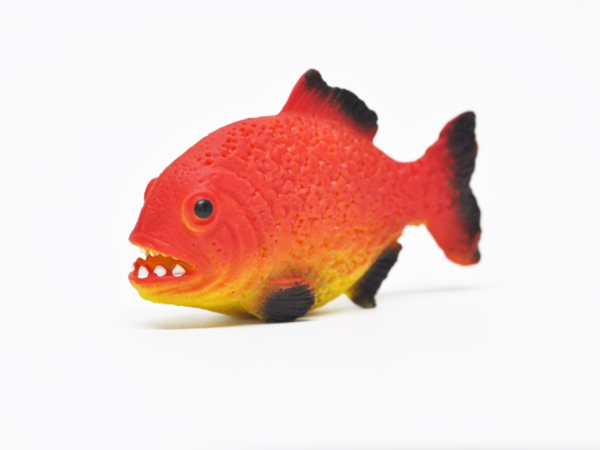 Пиранья (меняет цвет в теплой воде) - Волшебные рыбки