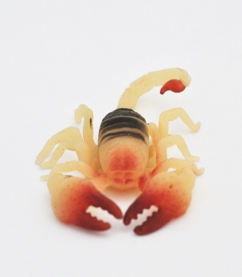 Скорпион элегантный, (светится в темноте)