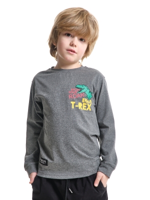 Лонгслив для мальчиков Mini Maxi, модель 7767, цвет графит/меланж