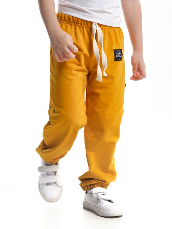 Брюки для мальчиков Mini Maxi, модель 9816, цвет горчичный - Штаны для мальчиков