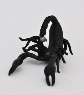Чёрный лесной скорпион