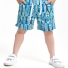 Шорты для мальчиков Mini Maxi, модель 7929, цвет синий
