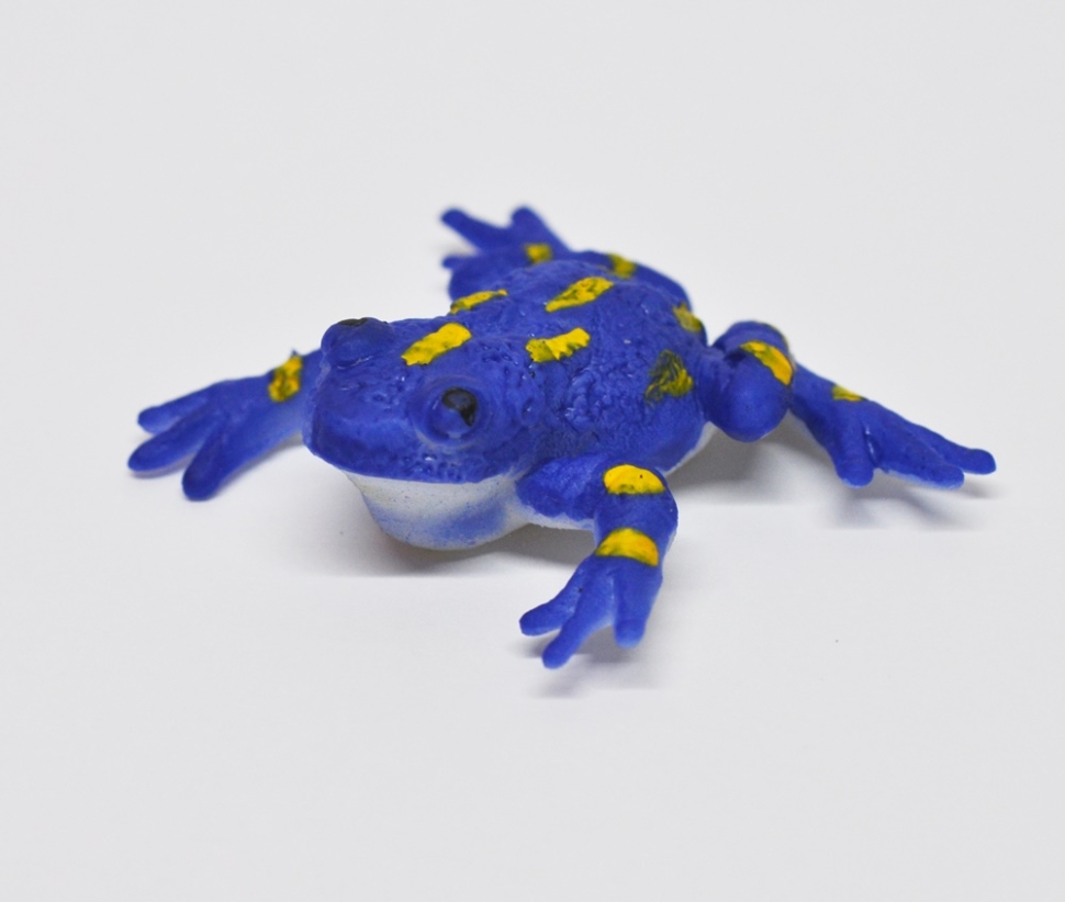 Жабовидная квакша (меняет цвет в теплой воде)      - Волшебные лягушки, Big Animal World