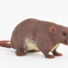 Мускусная крыса (меняет цвет в зависимости от температуры)