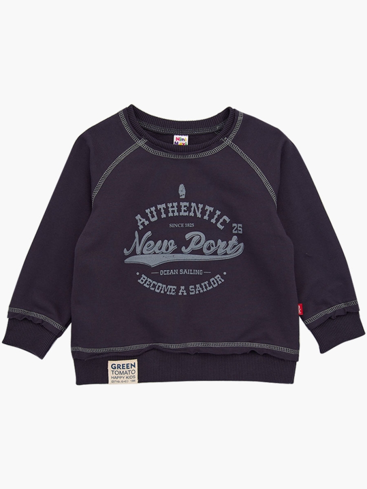 Свитшот для мальчиков Mini Maxi, модель 2038, цвет антра - Свитшоты для мальчиков