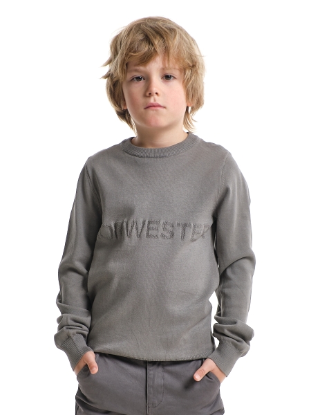 Свитшот для мальчиков Mini Maxi, модель 338104, цвет серый - Свитшоты для мальчиков
