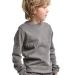 Свитшот для мальчиков Mini Maxi, модель 338104, цвет серый