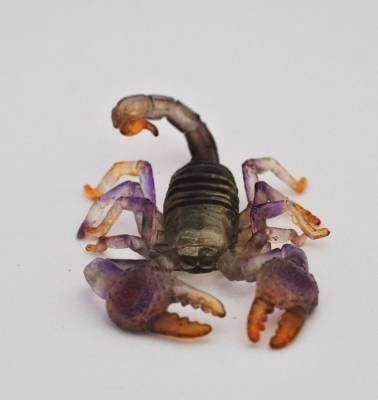 Скорпион желтохвостый