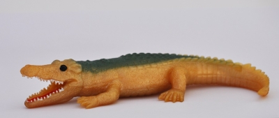 Гребнистый крокодил