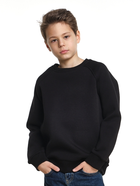 Джемпер для мальчиков Mini Maxi, модель 7812, цвет черный - Свитшоты для мальчиков