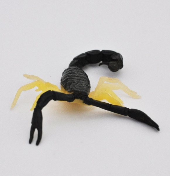Чёрный скорпион - Скорпионы & Ко Макси