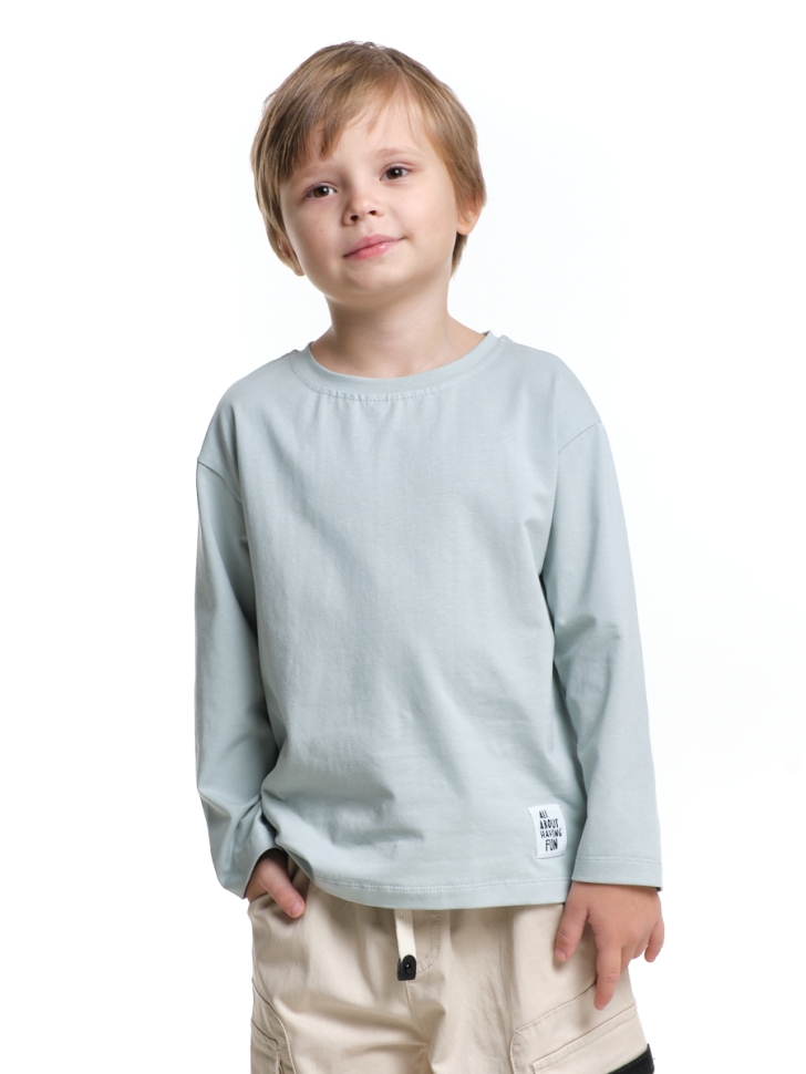 Лонгслив для мальчиков Mini Maxi, модель 6007, цвет серый/голубой - Лонгсливы / футболки - дл. рукав