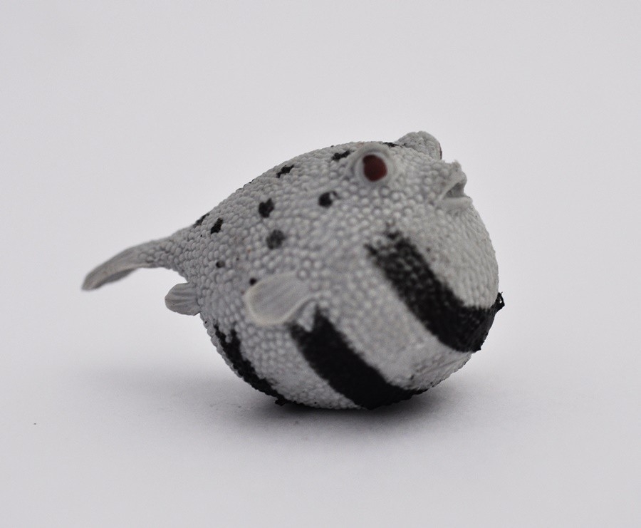 Звёздчатый иглобрюх - Пираньи и КО