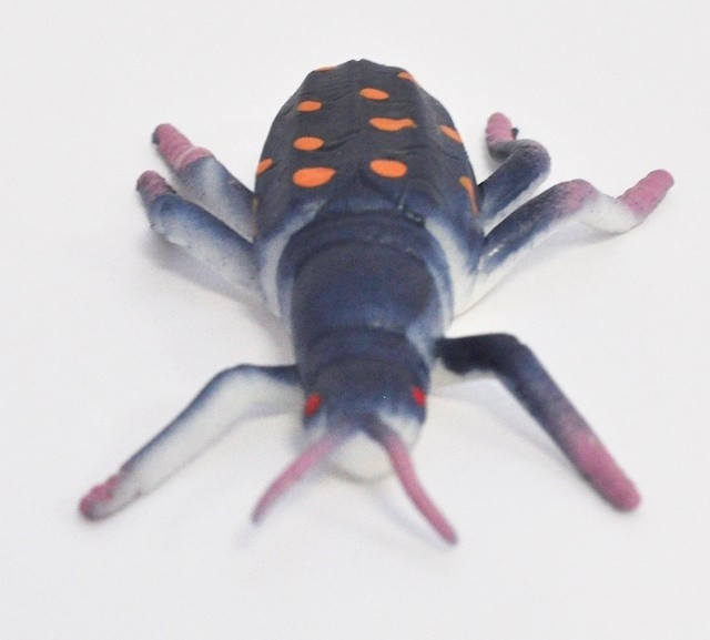 Таракан американский, (меняет цвет в тепле) - Жуки и стрекозы, Big Animal World