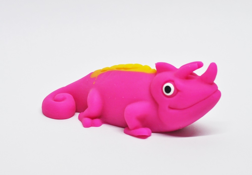 Хамелеон Фишера - Гекконы и Хамелеоны