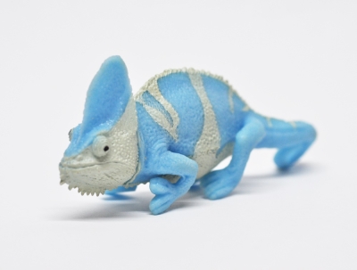 Хамелеон Меллера (меняет цвет на солнце)