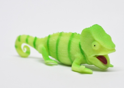 Хамелеон Фишера (меняет цвет на солнце) 