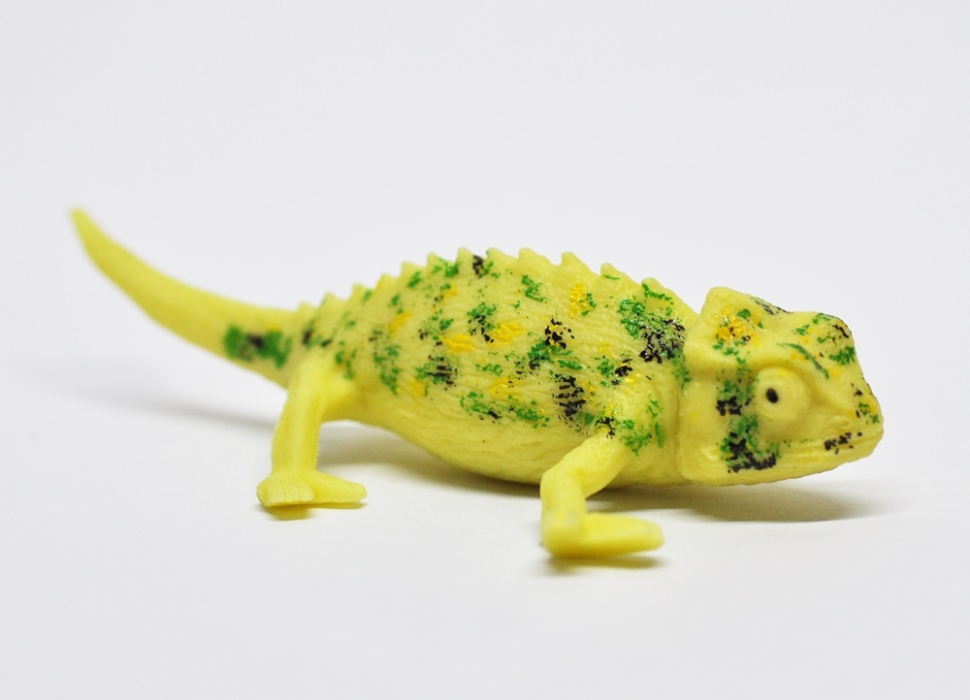 Бородатый листовой хамелеон (меняет цвет на солнце) - Хамелеоны и Ко